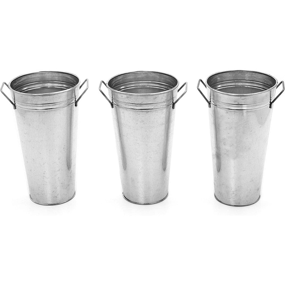 Set of 3 Galvanized Metal Buck - W Spa & Wellness 评论和价格